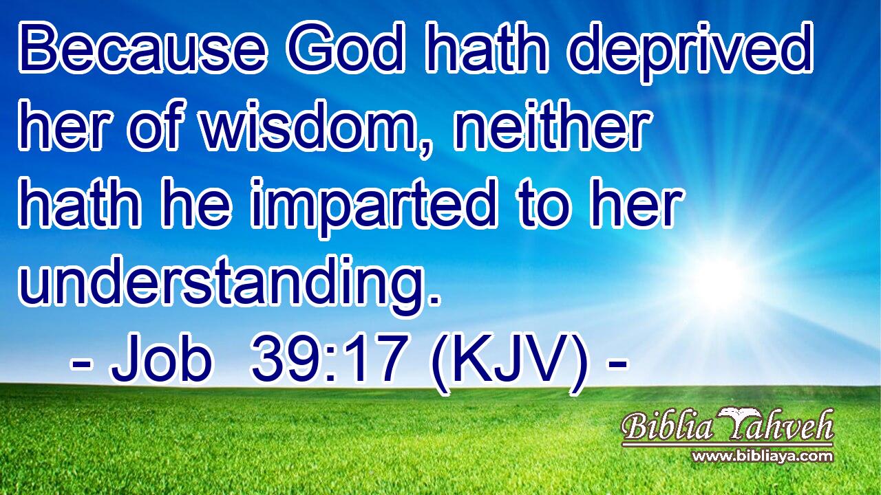 Because God hath deprived her of wisdom, neither hath he imparted to her understanding.