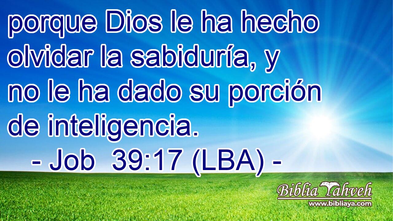 porque Dios le ha hecho olvidar la sabiduría, y no le ha dado su porción de inteligencia.