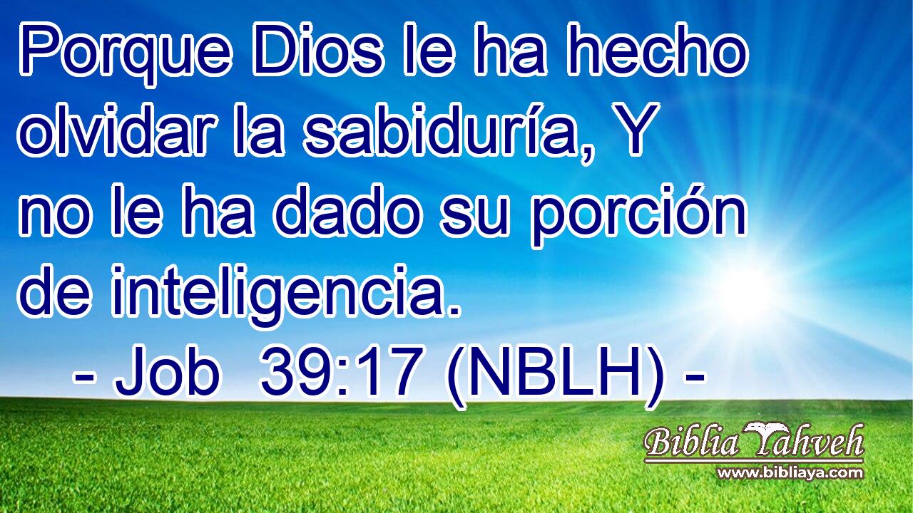  Porque Dios le ha hecho olvidar la sabiduría, Y no le ha dado su porción de inteligencia. 