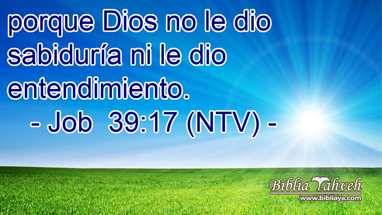 porque Dios no le dio sabiduría ni le dio entendimiento.