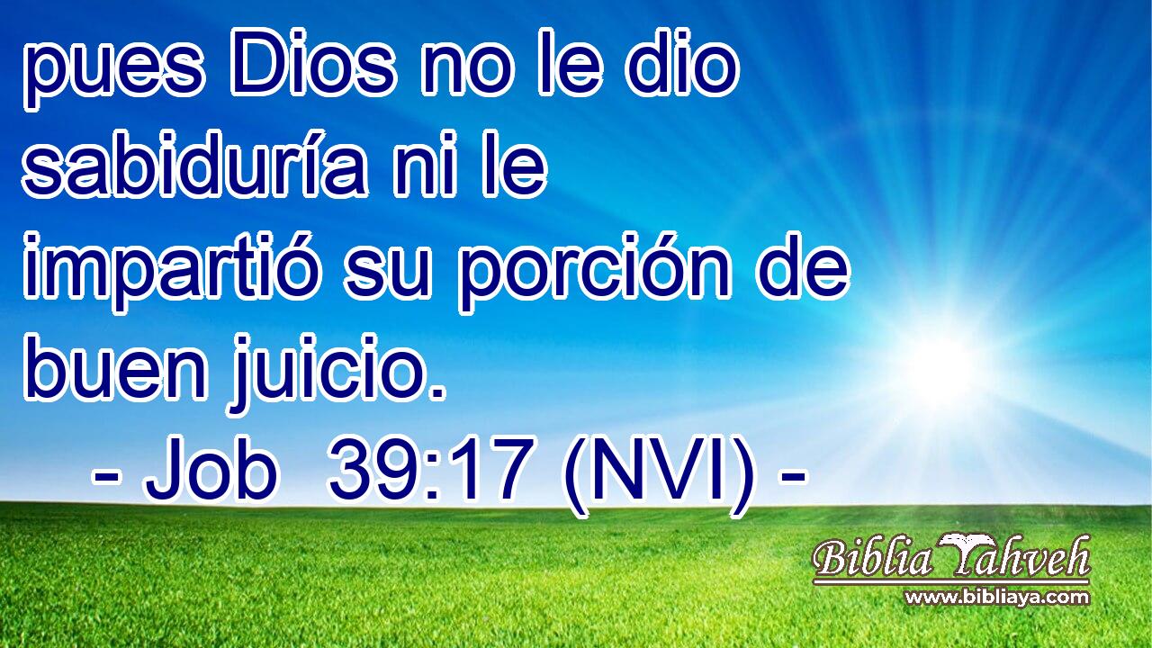  pues Dios no le dio sabiduría ni le impartió su porción de buen juicio. 