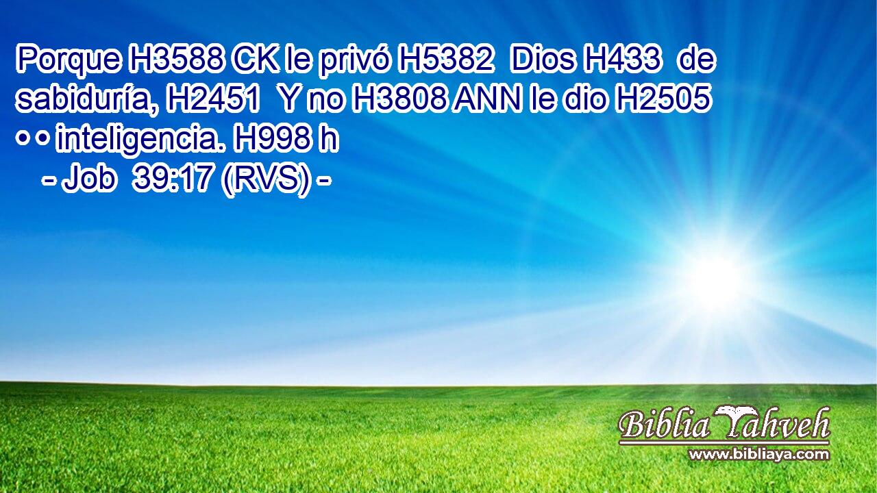 Porque H3588 CK le privó H5382  Dios H433  de sabiduría, H2451  Y no H3808 ANN le dio H2505  • • inteligencia. H998 h 