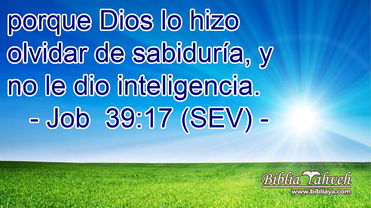 porque Dios lo hizo olvidar de sabiduría, y no le dio inteligencia.