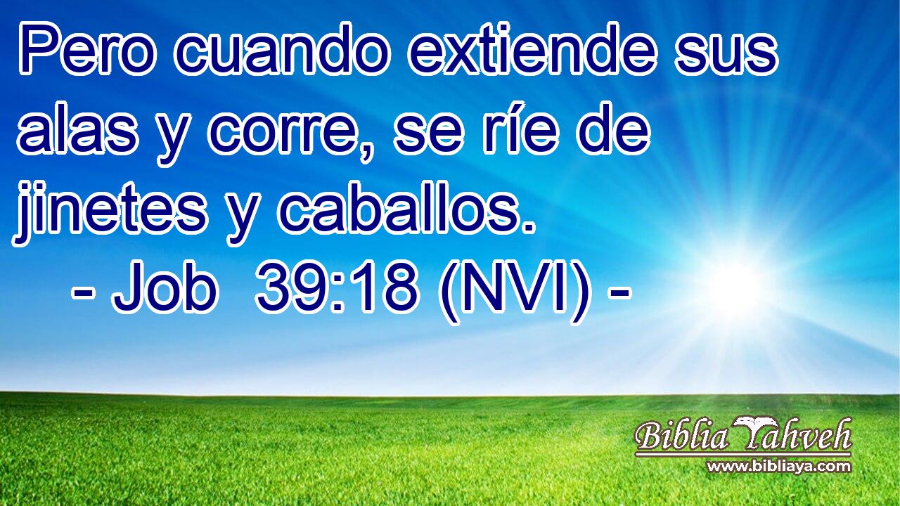  Pero cuando extiende sus alas y corre, se ríe de jinetes y caballos. 