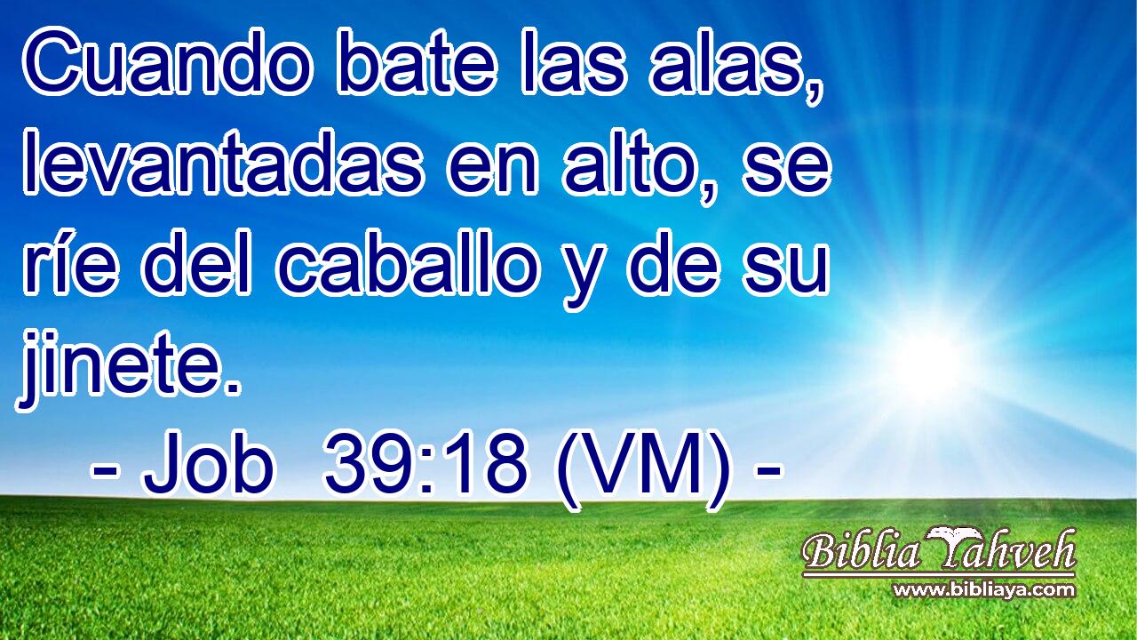  Cuando bate las alas, levantadas en alto, se ríe del caballo y de su jinete. 