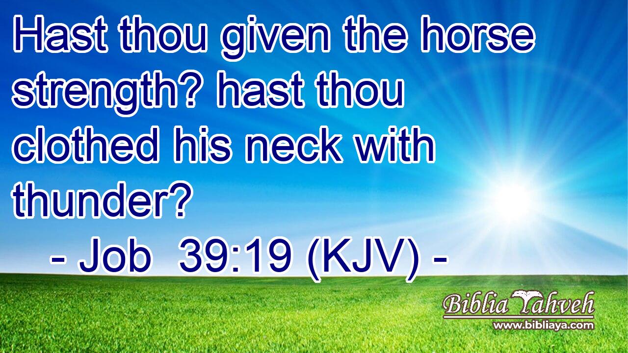 Hast thou given the horse strength? hast thou clothed his neck with thunder?