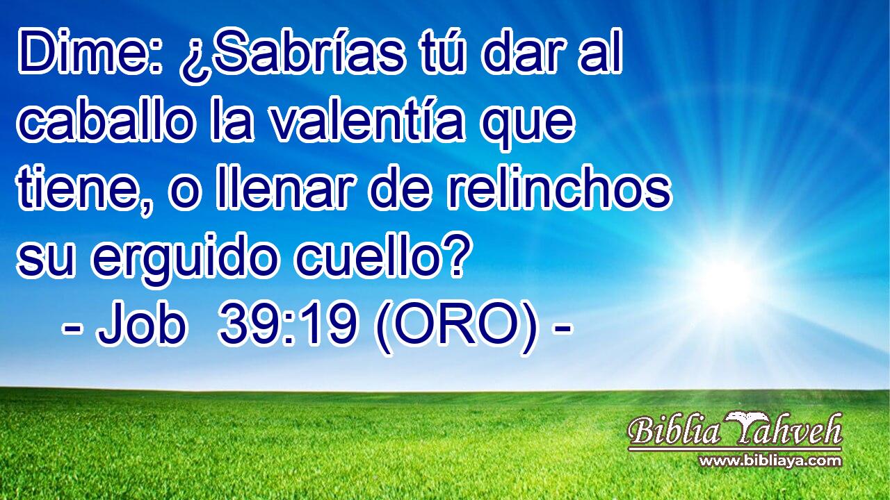  Dime: ¿Sabrías tú dar al caballo la valentía que tiene, o llenar de relinchos su erguido cuello? 