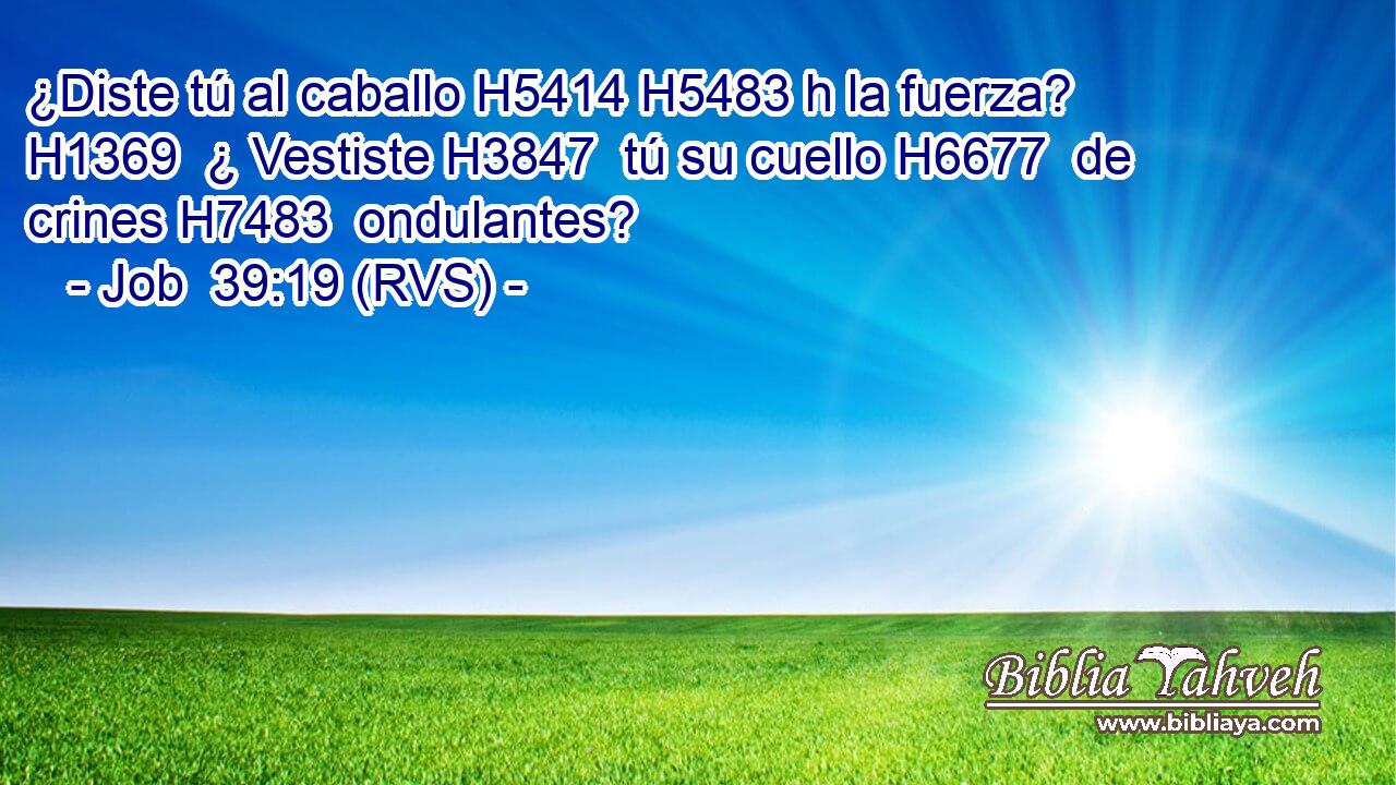 ¿Diste tú al caballo H5414 H5483 h la fuerza? H1369  ¿ Vestiste H3847  tú su cuello H6677  de crines H7483  ondulantes? 