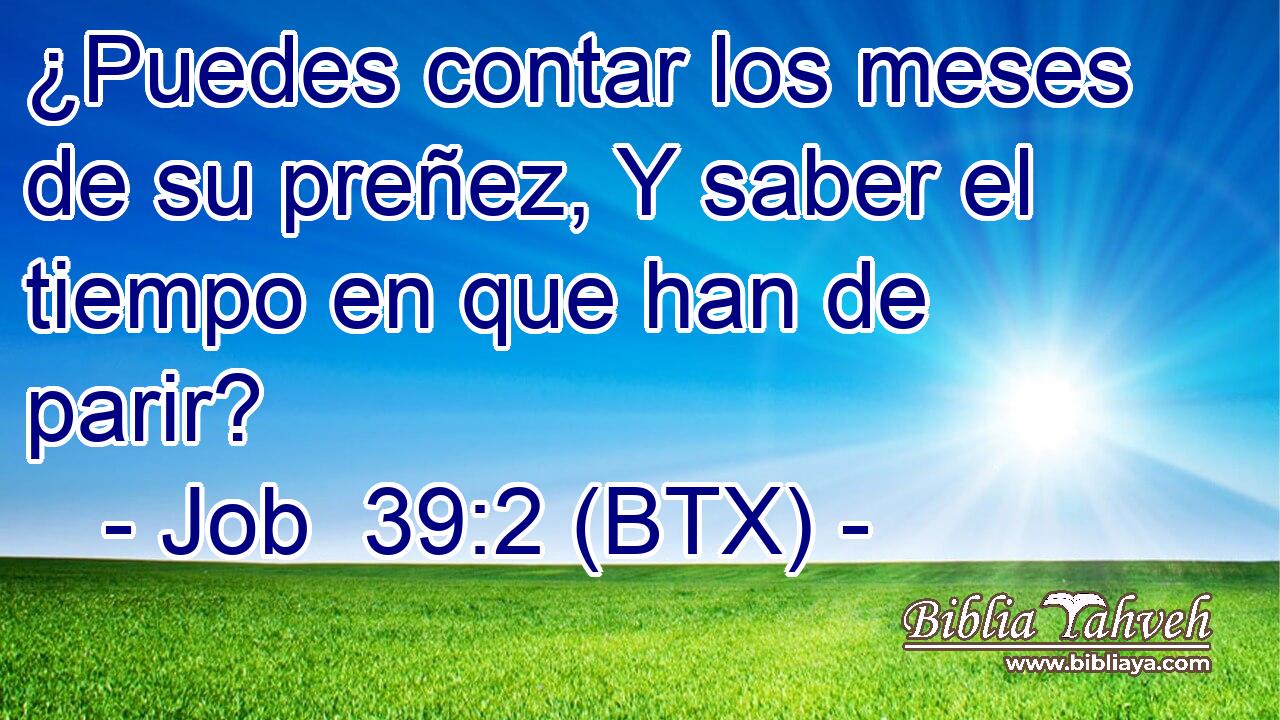 ¿Puedes contar los meses de su preñez, Y saber el tiempo en que han de parir?
