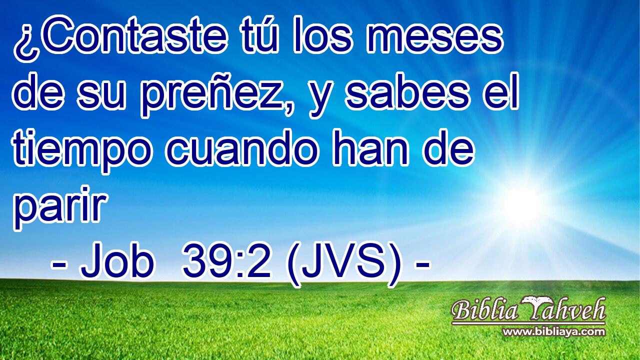 ¿Contaste tú los meses de su preñez, y sabes el tiempo cuando han de parir