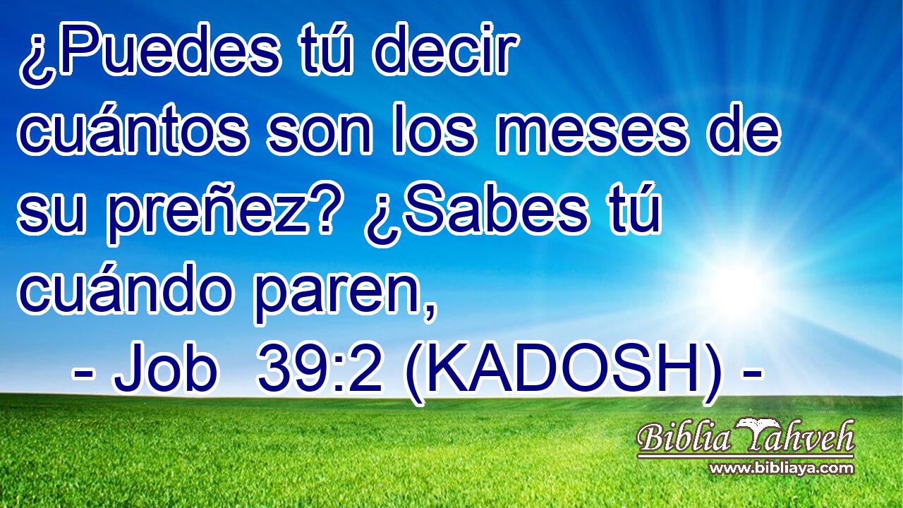  ¿Puedes tú decir cuántos son los meses de su preñez? ¿Sabes tú cuándo paren, 