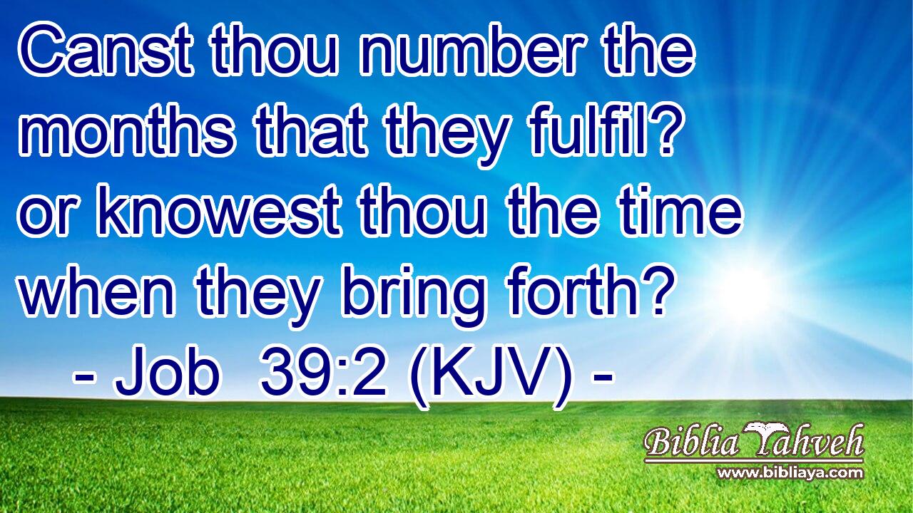 Canst thou number the months that they fulfil? or knowest thou the time when they bring forth?