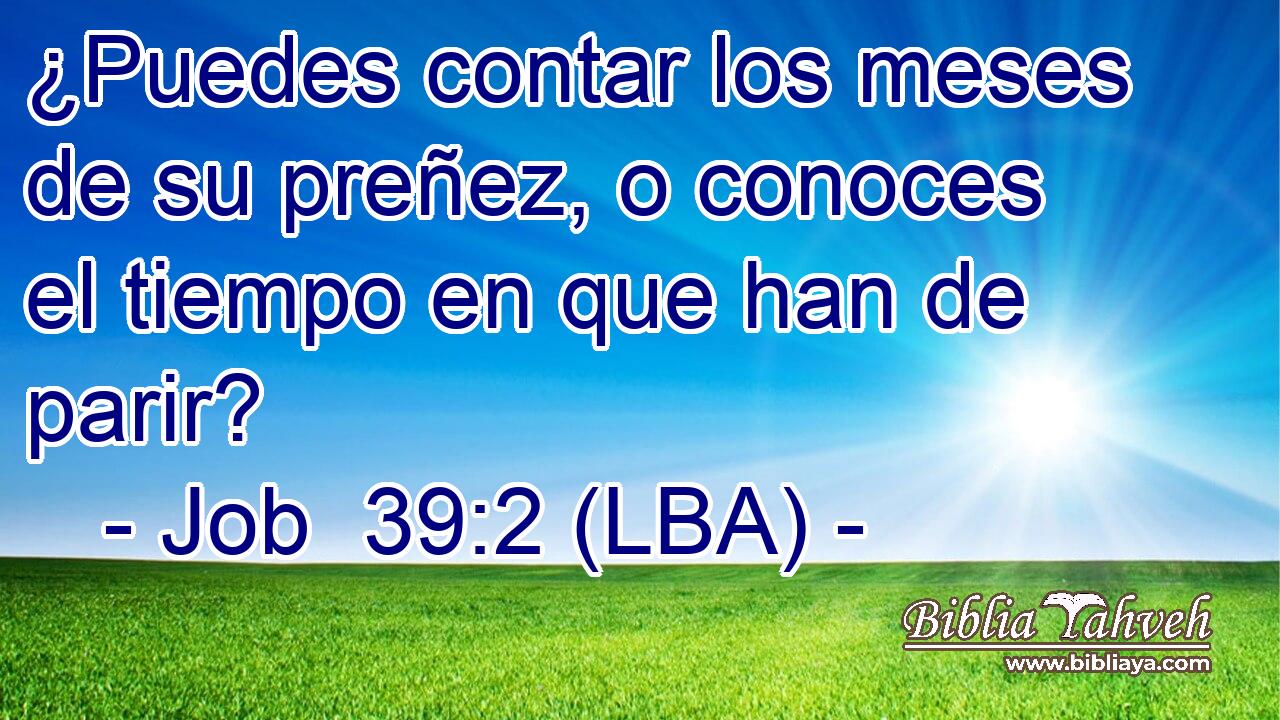 ¿Puedes contar los meses de su preñez, o conoces el tiempo en que han de parir?