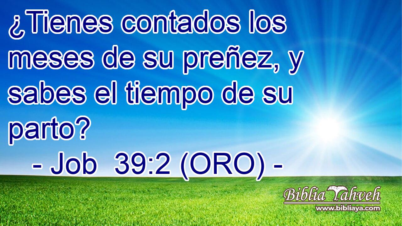  ¿Tienes contados los meses de su preñez, y sabes el tiempo de su parto? 