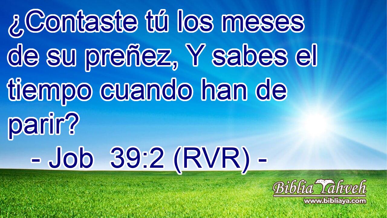¿Contaste tú los meses de su preñez, Y sabes el tiempo cuando han de parir?
