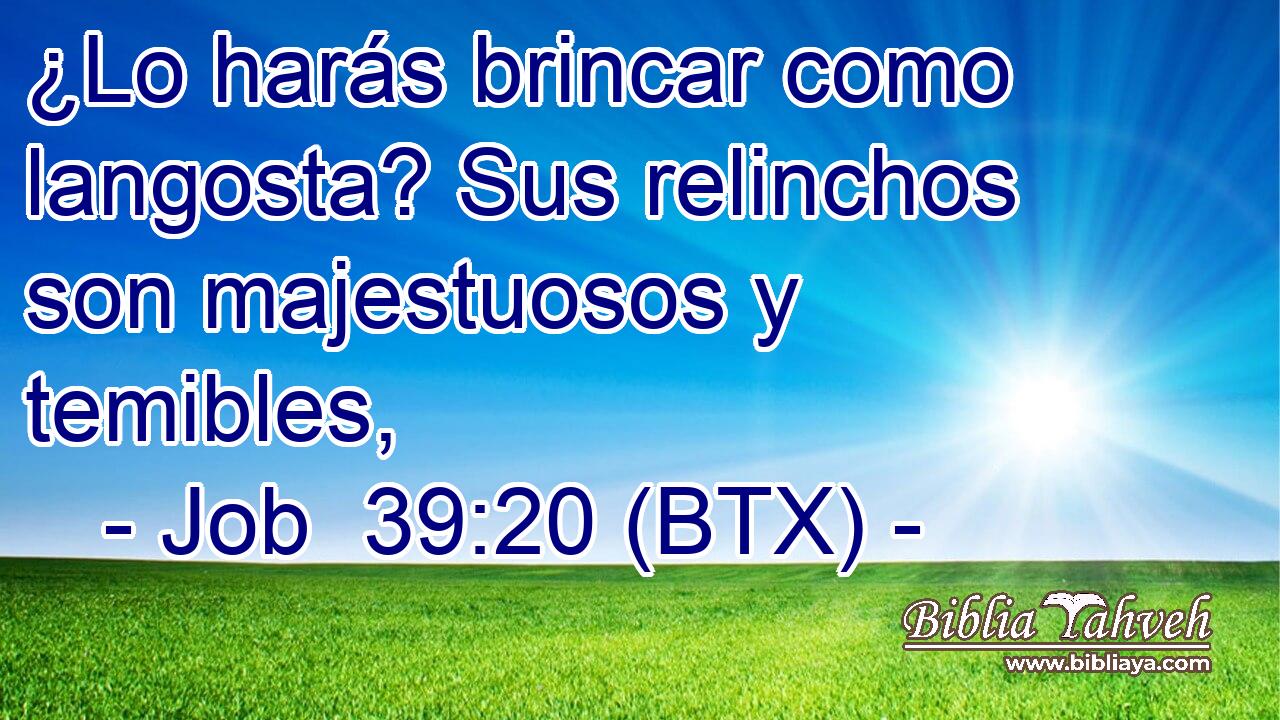¿Lo harás brincar como langosta? Sus relinchos son majestuosos y temibles,