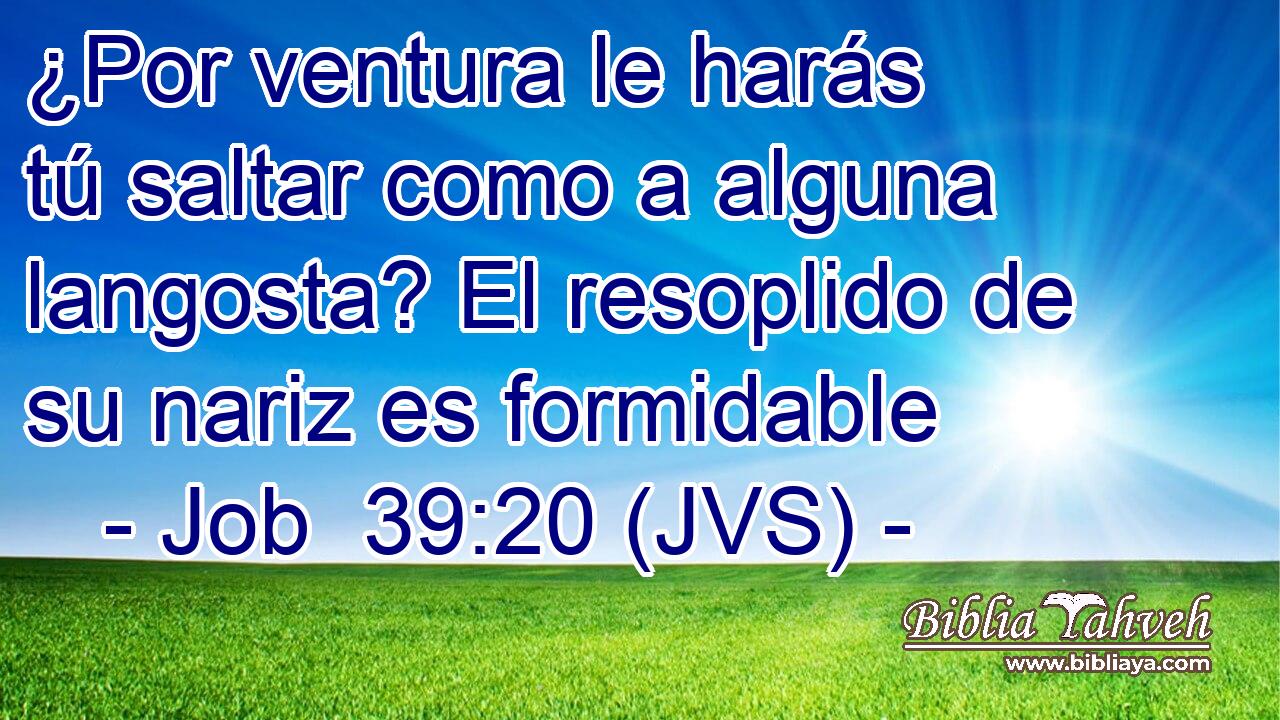 ¿Por ventura le harás tú saltar como a alguna langosta? El resoplido de su nariz es formidable