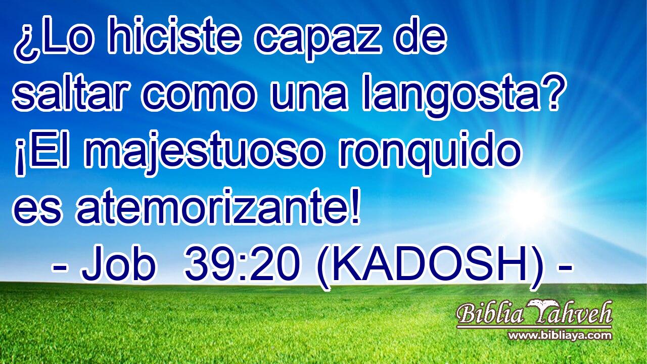  ¿Lo hiciste capaz de saltar como una langosta? ¡El majestuoso ronquido es atemorizante! 