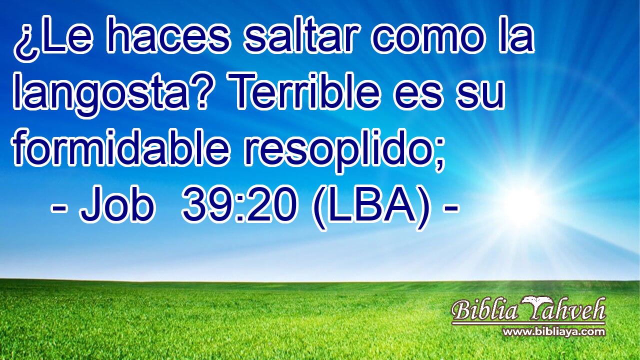 ¿Le haces saltar como la langosta? Terrible es su formidable resoplido;