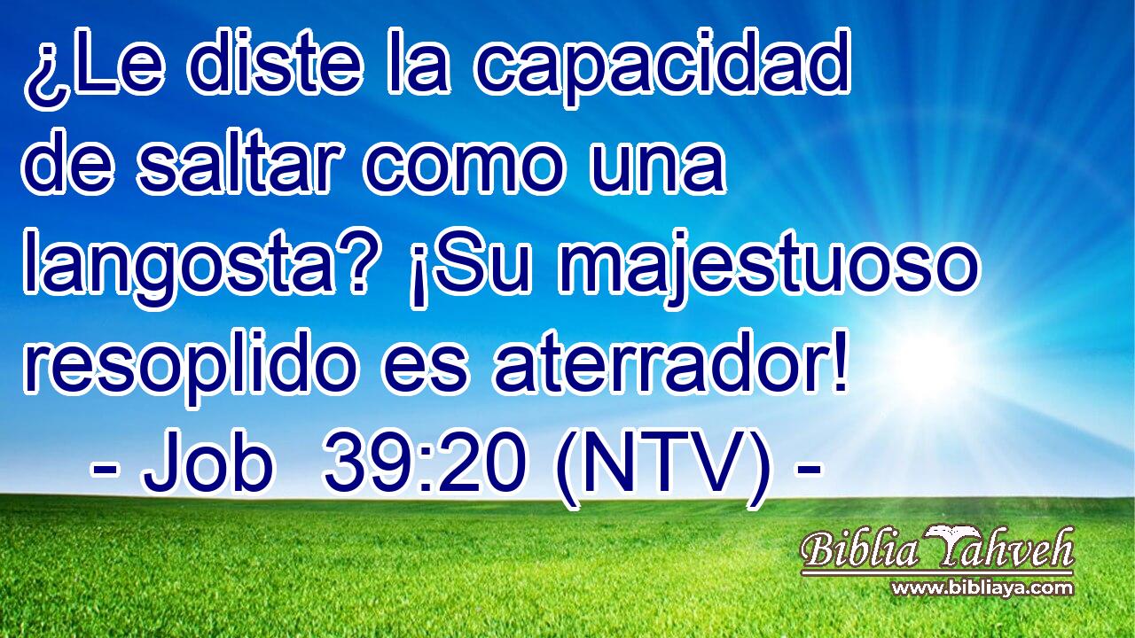 ¿Le diste la capacidad de saltar como una langosta? ¡Su majestuoso resoplido es aterrador!