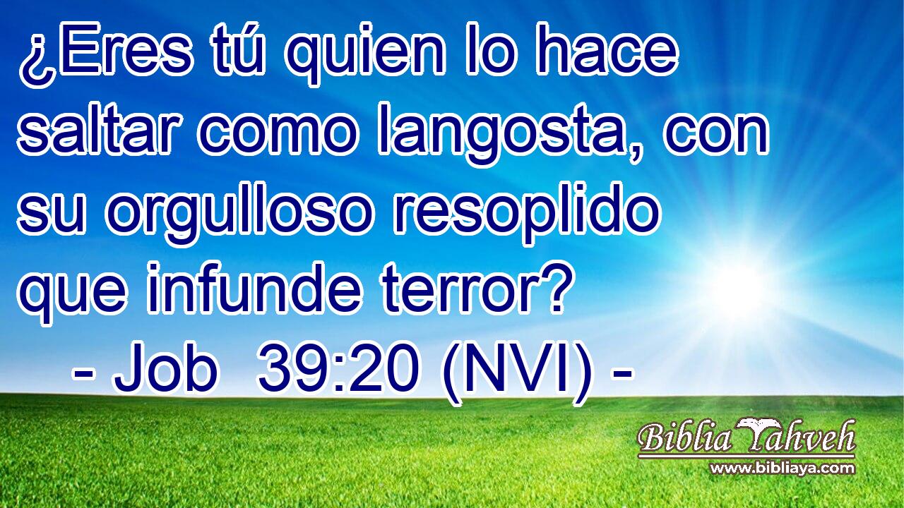  ¿Eres tú quien lo hace saltar como langosta, con su orgulloso resoplido que infunde terror? 