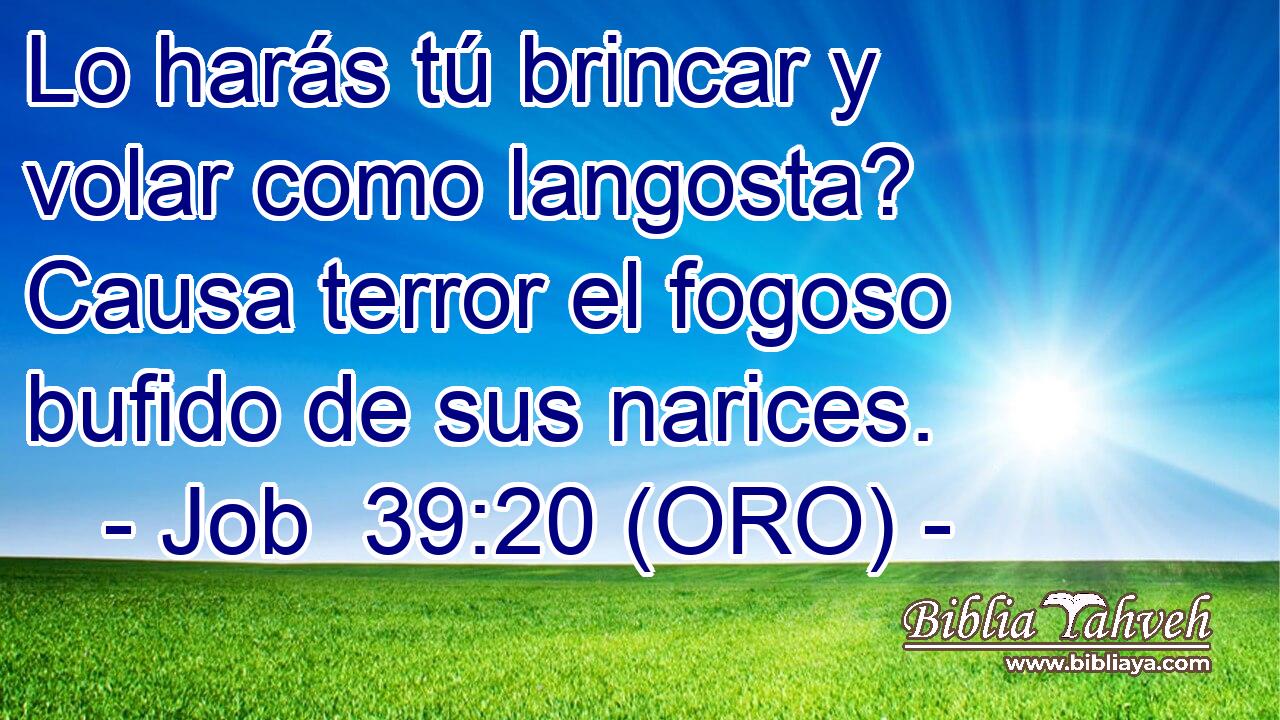  Lo harás tú brincar y volar como langosta? Causa terror el fogoso bufido de sus narices. 