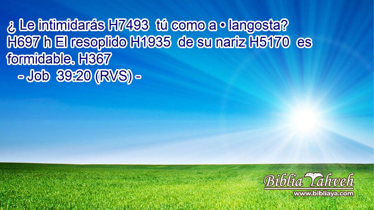 ¿ Le intimidarás H7493  tú como a • langosta? H697 h El resoplido H1935  de su nariz H5170  es formidable. H367  