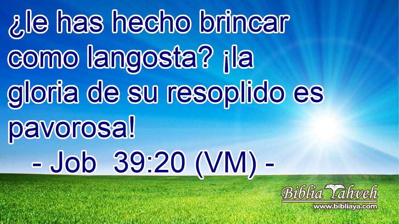  ¿le has hecho brincar como langosta? ¡la gloria de su resoplido es pavorosa! 