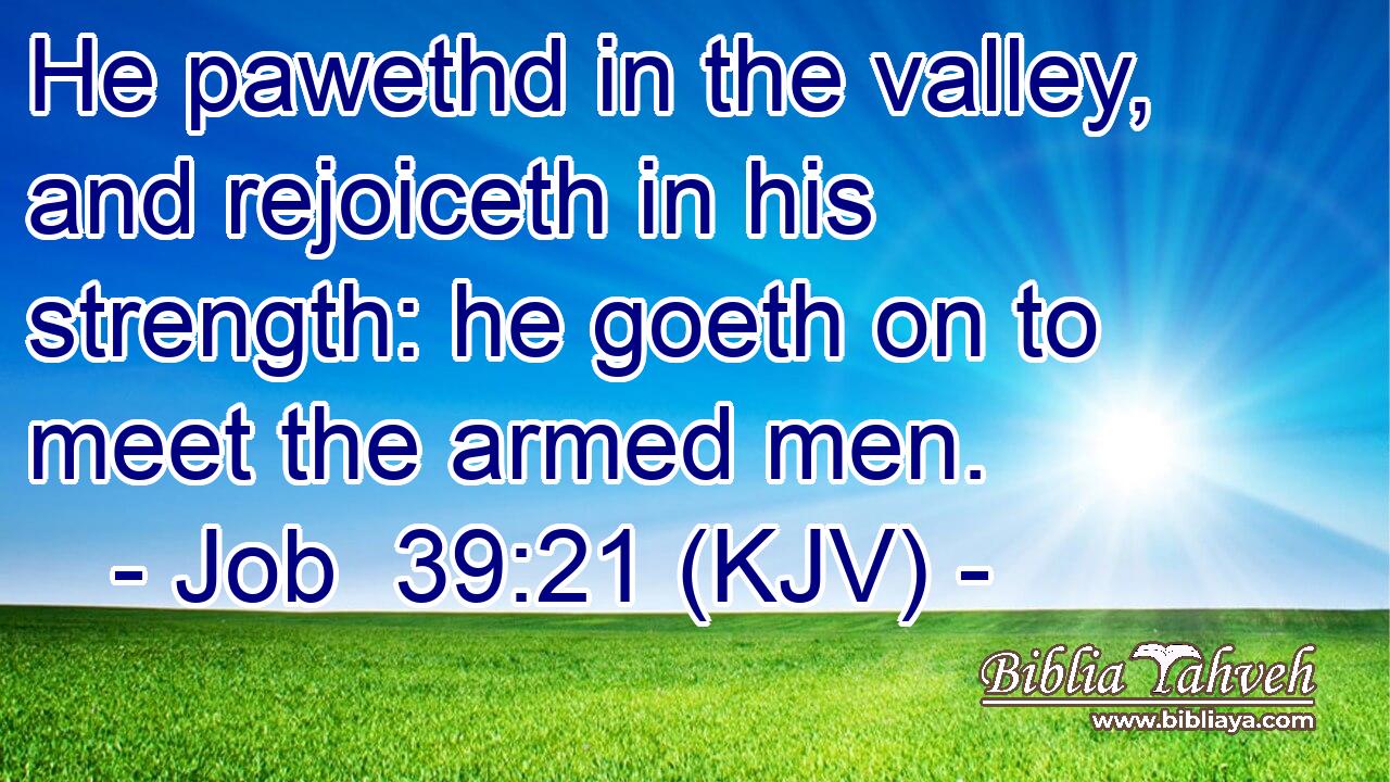 He pawethd in the valley, and rejoiceth in his strength: he goeth on to meet the armed men.