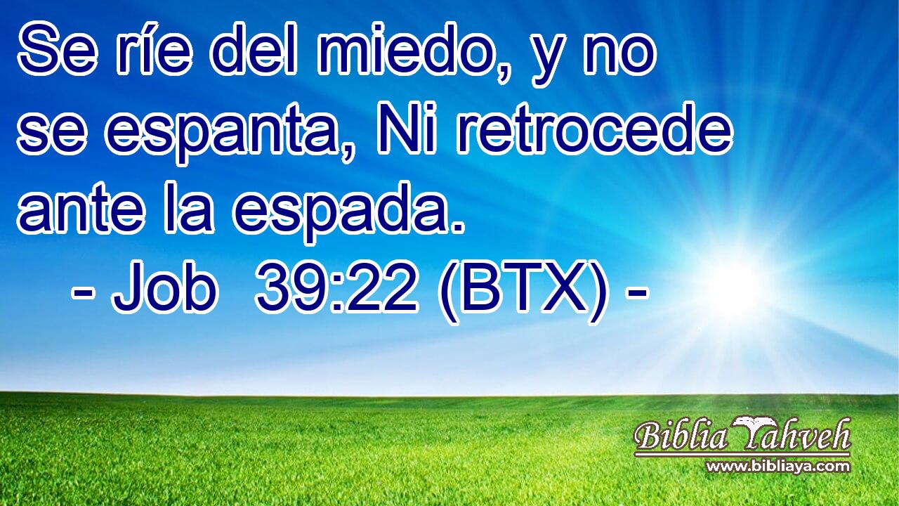Se ríe del miedo, y no se espanta, Ni retrocede ante la espada.