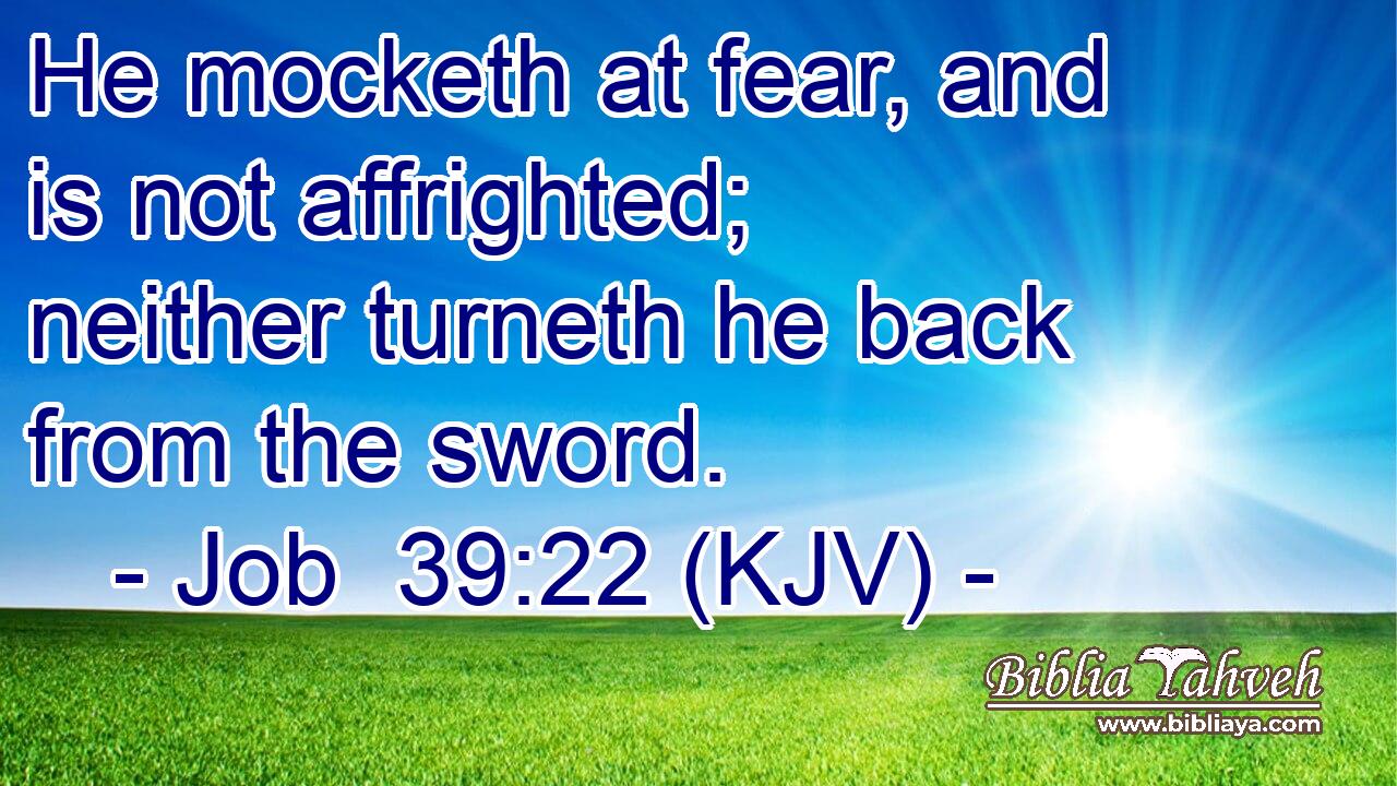 He mocketh at fear, and is not affrighted; neither turneth he back from the sword.