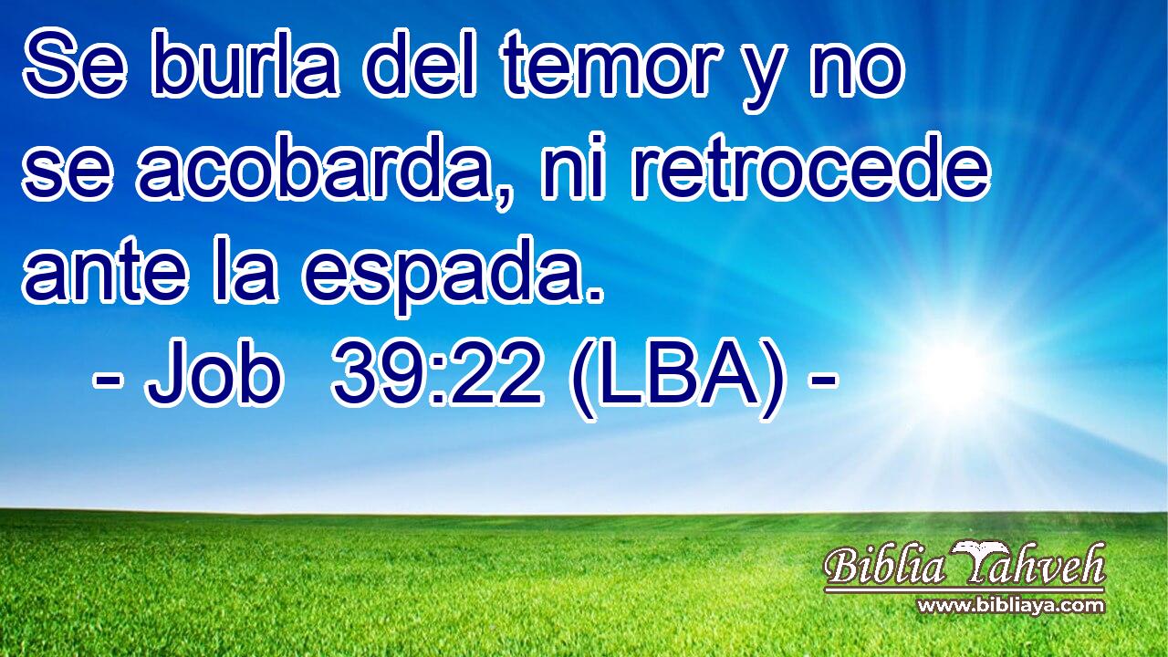 Se burla del temor y no se acobarda, ni retrocede ante la espada.
