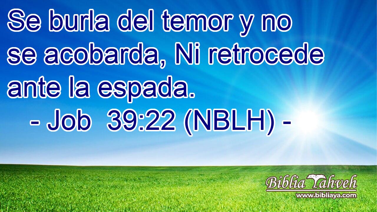  Se burla del temor y no se acobarda, Ni retrocede ante la espada. 