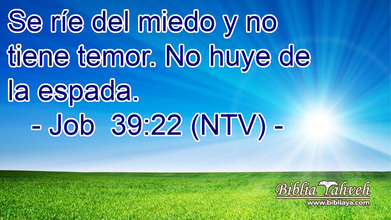 Se ríe del miedo y no tiene temor. No huye de la espada.