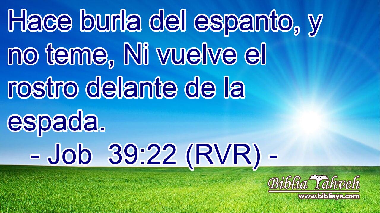 Hace burla del espanto, y no teme, Ni vuelve el rostro delante de la espada.