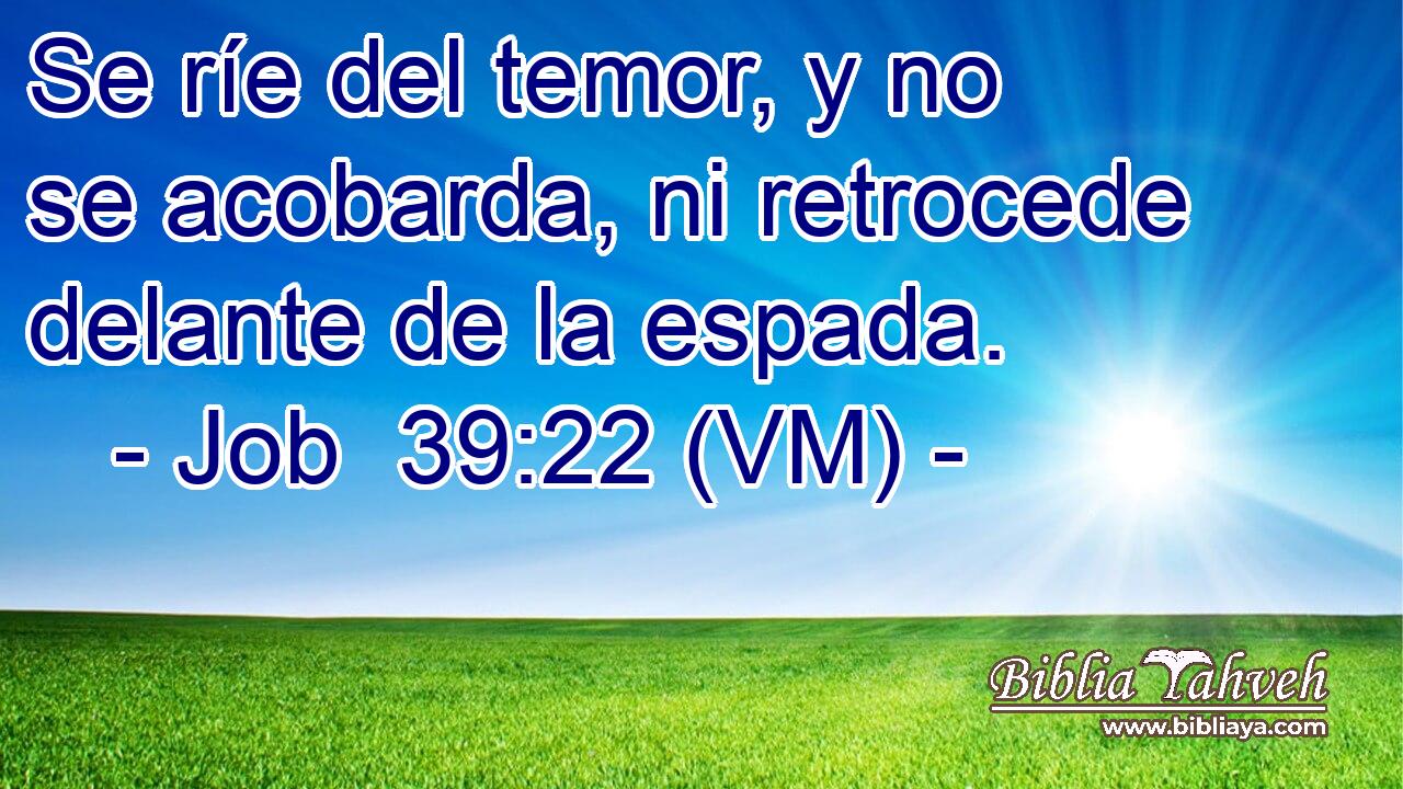  Se ríe del temor, y no se acobarda, ni retrocede delante de la espada. 