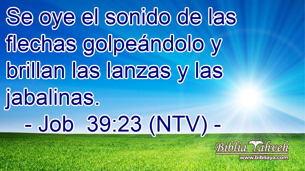 Se oye el sonido de las flechas golpeándolo y brillan las lanzas y las jabalinas.