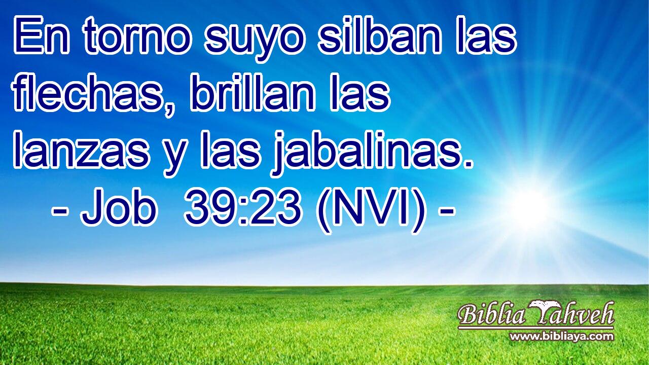  En torno suyo silban las flechas, brillan las lanzas y las jabalinas. 