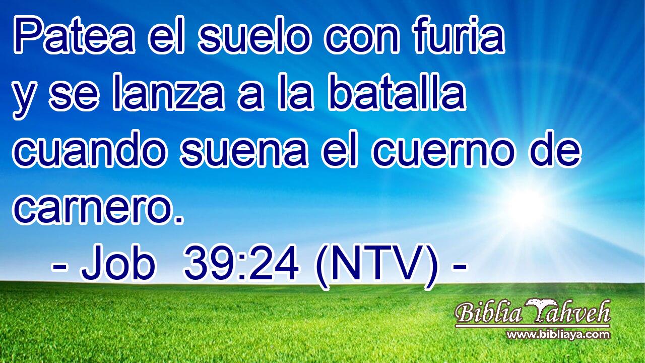 Patea el suelo con furia y se lanza a la batalla cuando suena el cuerno de carnero.