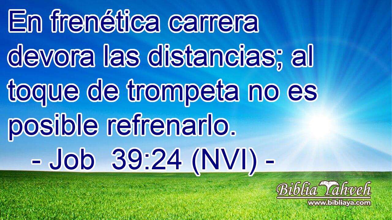  En frenética carrera devora las distancias; al toque de trompeta no es posible refrenarlo. 