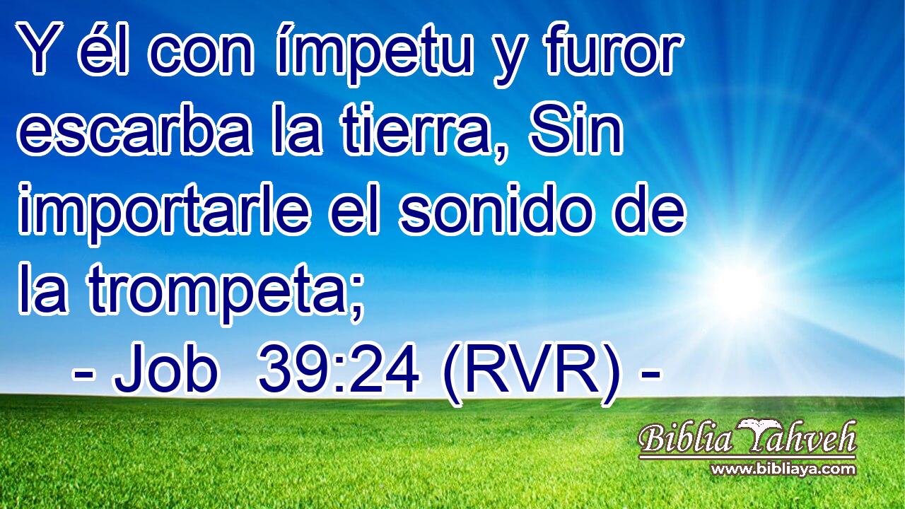 Y él con ímpetu y furor escarba la tierra, Sin importarle el sonido de la trompeta;
