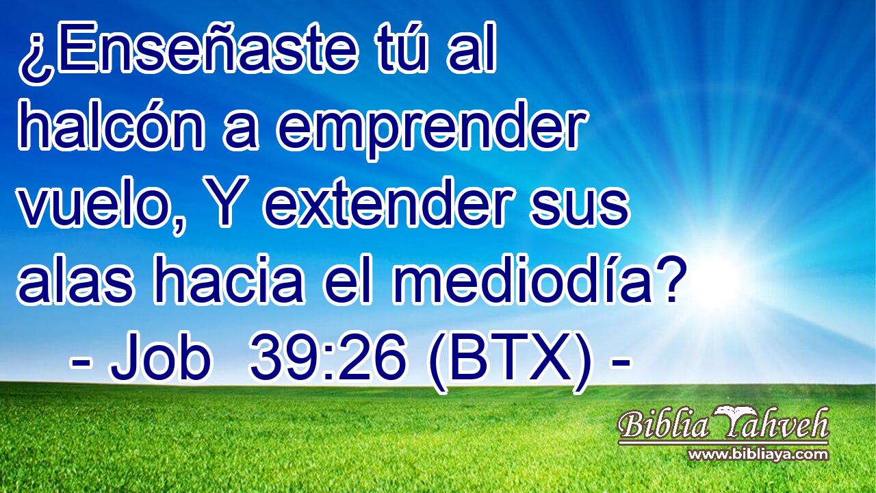 ¿Enseñaste tú al halcón a emprender vuelo, Y extender sus alas hacia el mediodía?