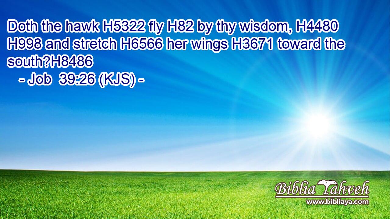 Doth the hawk H5322 fly H82 by thy wisdom, H4480  H998 and stretch H6566 her wings H3671 toward the south?H8486