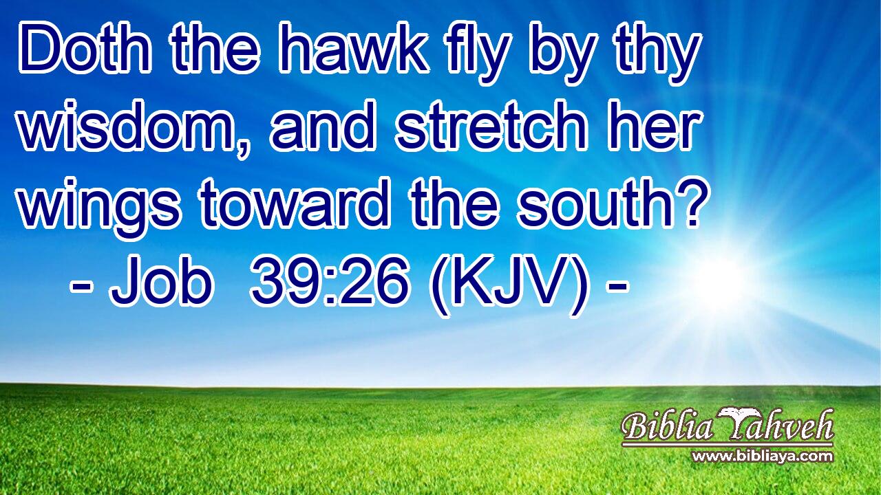Doth the hawk fly by thy wisdom, and stretch her wings toward the south?