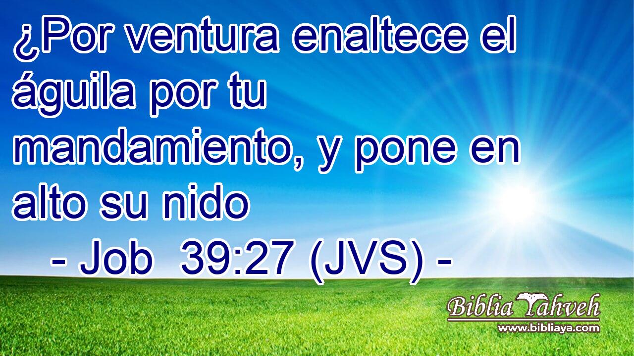 Job 39:27 (jvs) - ¿Por ventura enaltece el águila por tu mandam...