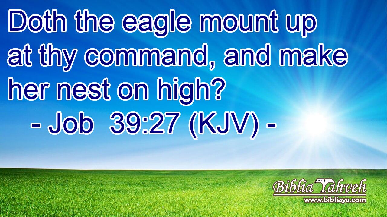 Doth the eagle mount up at thy command, and make her nest on high?