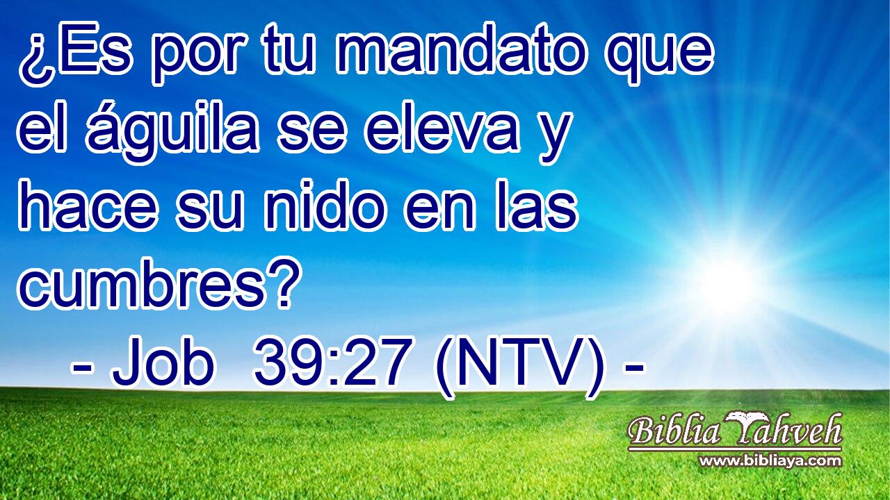 ¿Es por tu mandato que el águila se eleva y hace su nido en las cumbres?