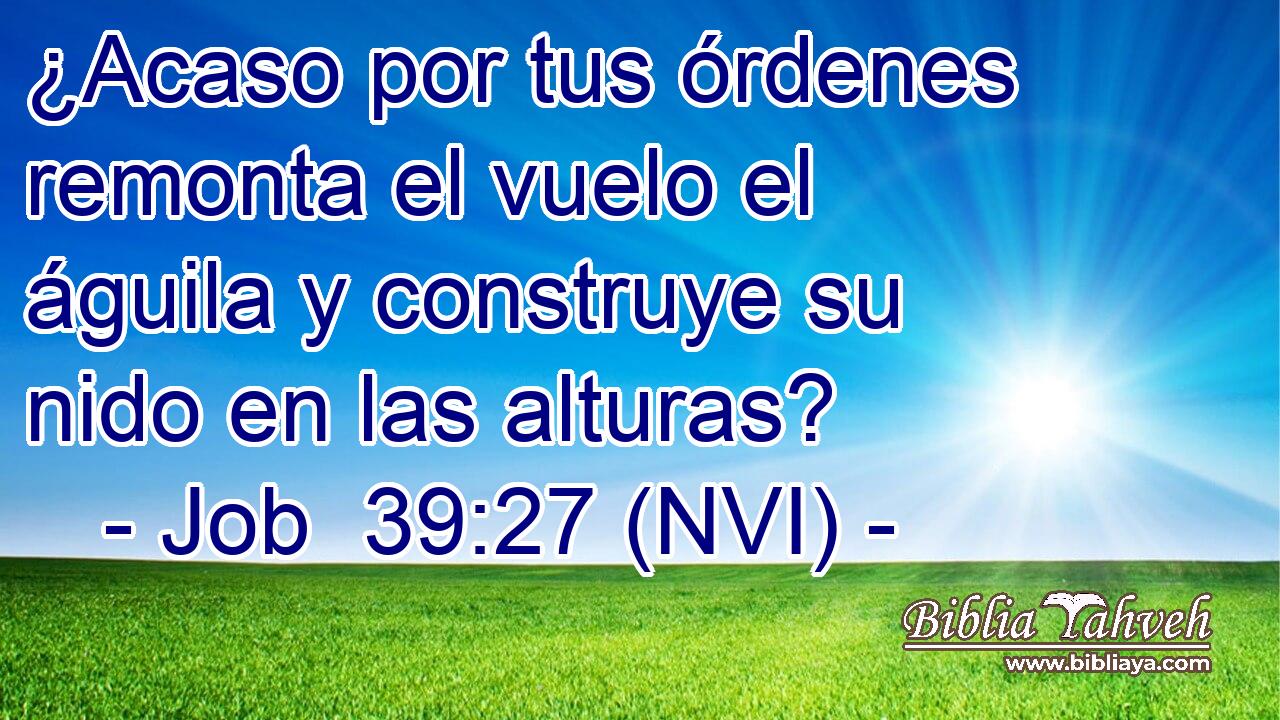  ¿Acaso por tus órdenes remonta el vuelo el águila y construye su nido en las alturas? 