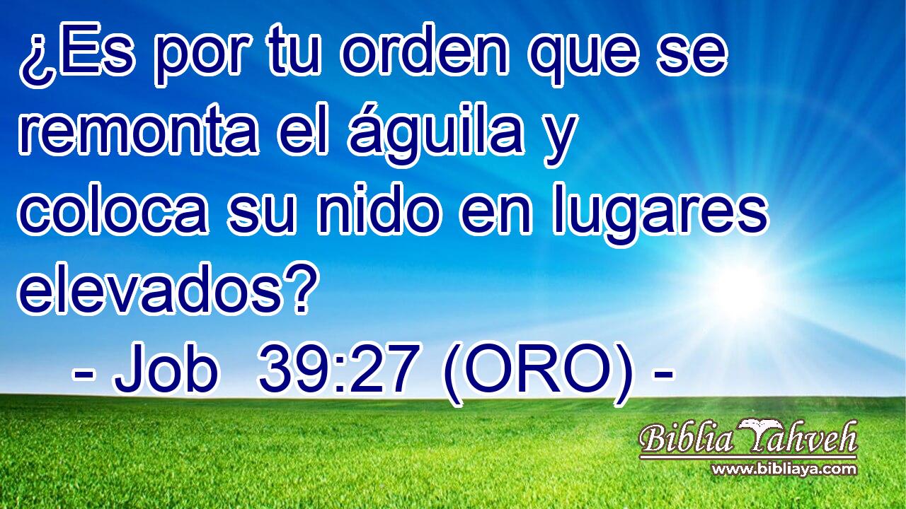  ¿Es por tu orden que se remonta el águila y coloca su nido en lugares elevados? 