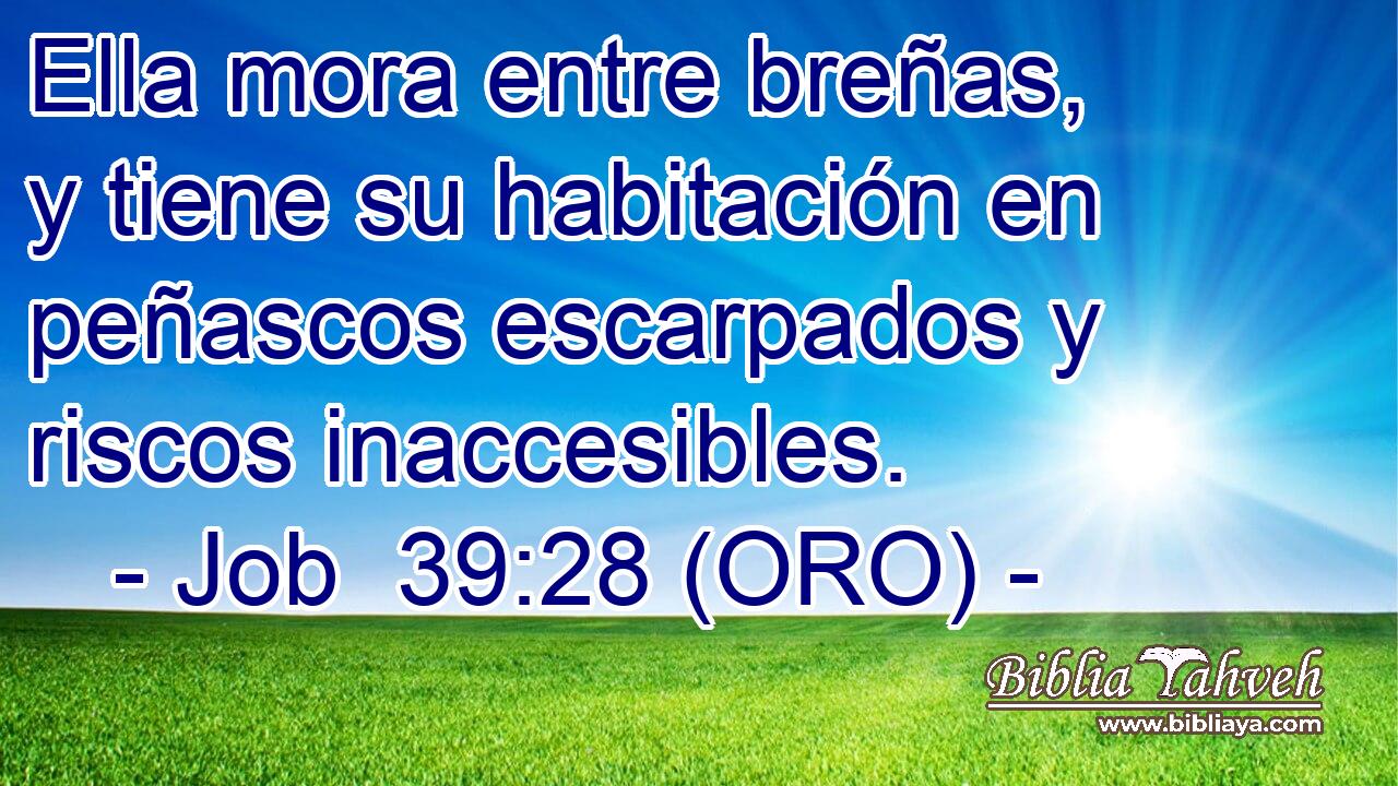  Ella mora entre breñas, y tiene su habitación en peñascos escarpados y riscos inaccesibles. 